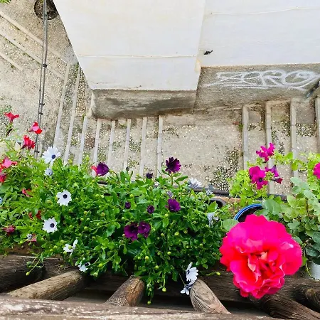 Charming With Alhambra View